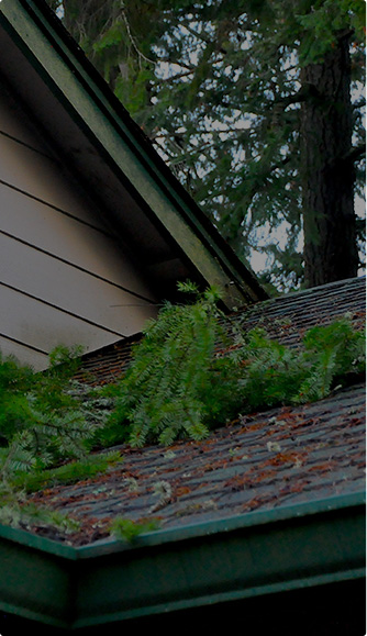 emergency roof repair for debris damage in new bedford