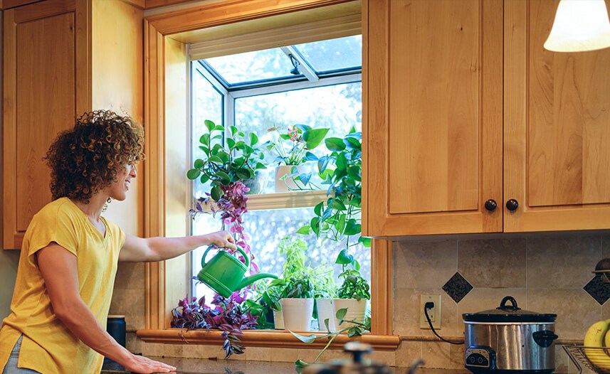 Kitchen gargen window with green plants