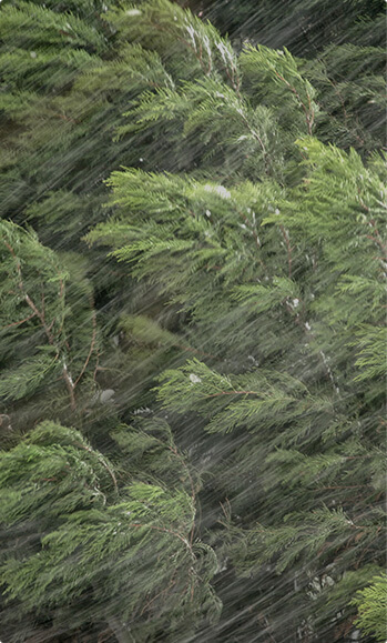 roof insurance for wind damage in new bedford